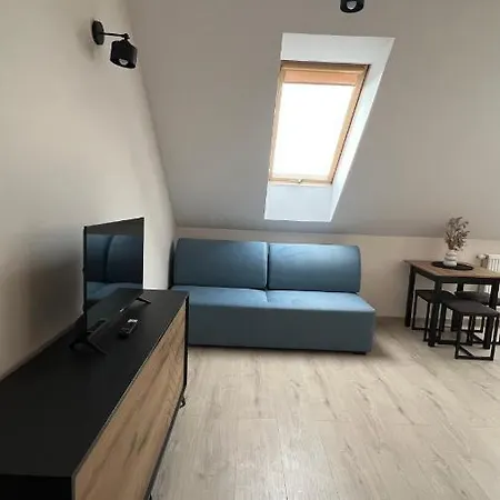 בית הארחה Kraken-pokoje Goscinne קריניצה מורסקה